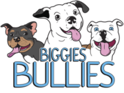 Biggie's Bullie's Logo